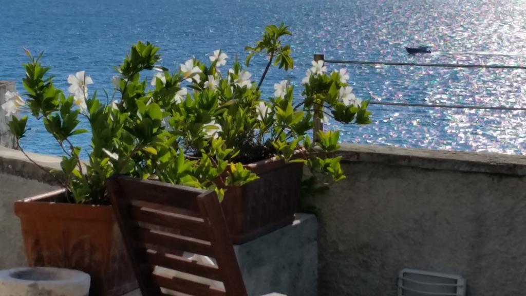 Le Sirene Bed & Breakfast Tellaro Exterior photo